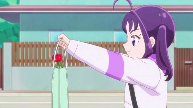 You and Idol Pretty Cure